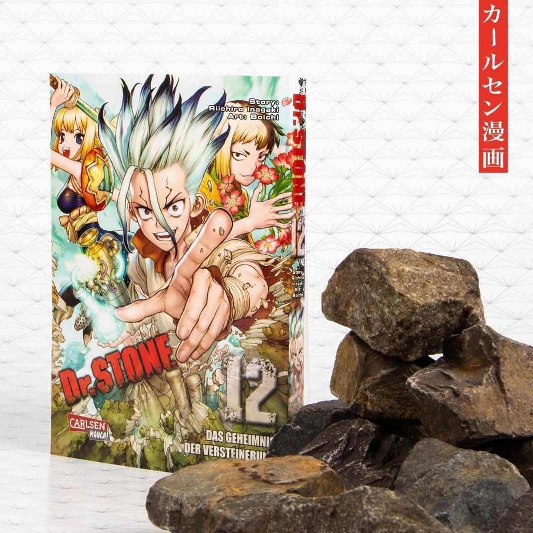 Dr Stone 12 Buch Von Boichi Jetzt Bei Weltbild Ch Bestellen