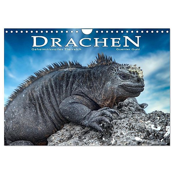 Drachen: Geheimnisvolles Tierreich (Wandkalender 2024 DIN A4 quer), CALVENDO Monatskalender, Guenter Guni
