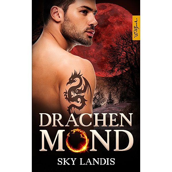 Drachenmond: Roman, Sky Landis
