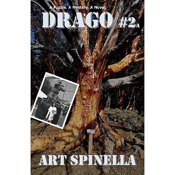 Drago #2a, Art LLC Spinella