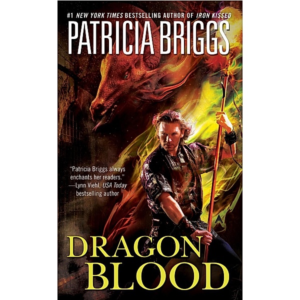 Dragon Blood / Hurog Duology Bd.2, Patricia Briggs