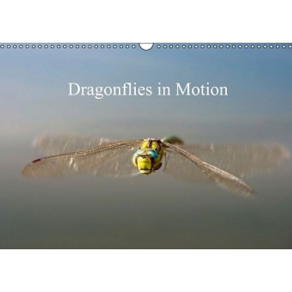 Dragonflies in Motion / UK-Version (Wall Calendar 2015 DIN A3 Landscape), Johann Frank