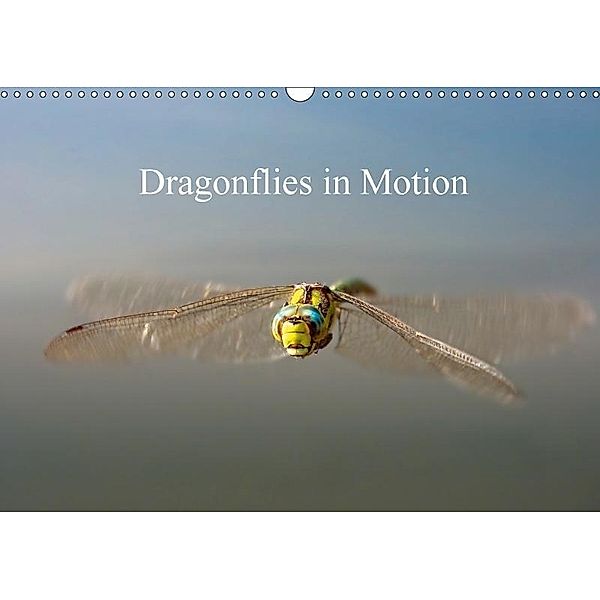 Dragonflies in Motion / UK-Version (Wall Calendar 2017 DIN A3 Landscape), Johann Frank
