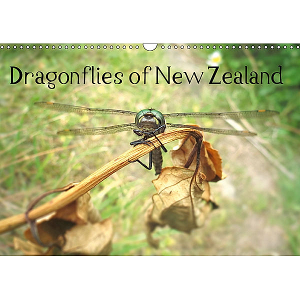 Dragonflies of New Zealand (Wall Calendar 2019 DIN A3 Landscape), Stefanie Gendera