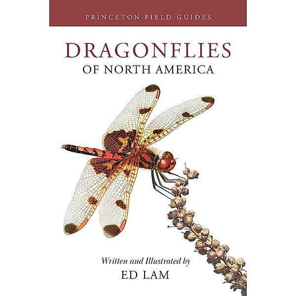 Dragonflies of North America / Princeton Field Guides Bd.167, Ed Lam