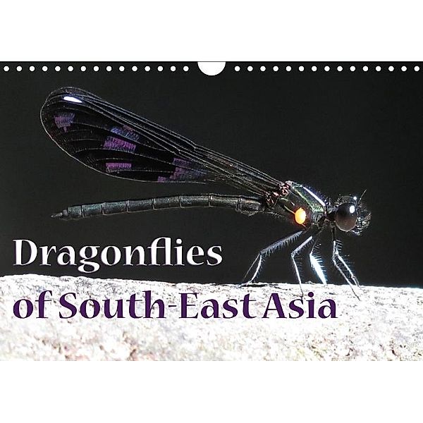 Dragonflies of South-East Asia (Wall Calendar 2017 DIN A4 Landscape), Stefanie Gendera