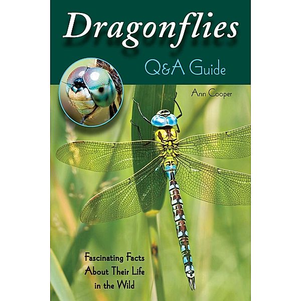 Dragonflies: Q&A Guide, Ann Cooper