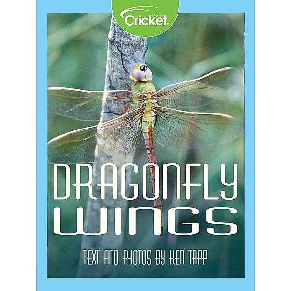 Dragonfly Wings, Ken Tapp