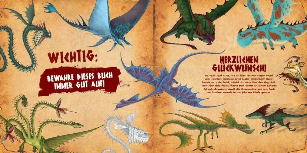 Dragons Buch von Maggie Testa versandkostenfrei bei Weltbild.at bestellen