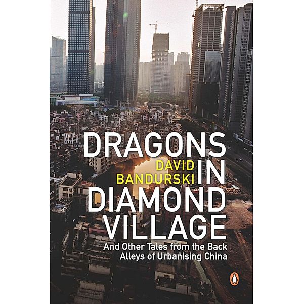 Dragons in Diamond Village And Other Tales from the Back Alleys of Urbanising China, David Bandurski