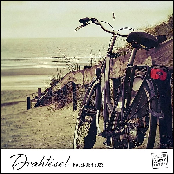Drahtesel 2023 - Fahrrad-Fotografie - Wandkalender mit Spiralbindung - DUMONT Quadratformat 24 x 24 cm