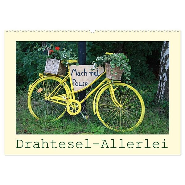 Drahtesel-Allerlei (Wandkalender 2025 DIN A2 quer), CALVENDO Monatskalender, Calvendo, Angelika keller