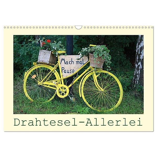 Drahtesel-Allerlei (Wandkalender 2025 DIN A3 quer), CALVENDO Monatskalender, Calvendo, Angelika keller