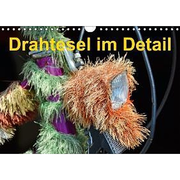 Drahtesel im Detail (Wandkalender 2015 DIN A4 quer), Ingo Laue