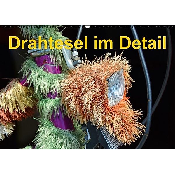 Drahtesel im Detail (Wandkalender 2017 DIN A2 quer), Ingo Laue