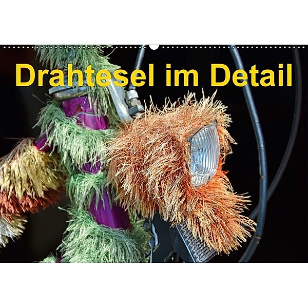 Drahtesel im Detail (Wandkalender 2018 DIN A2 quer), Ingo Laue