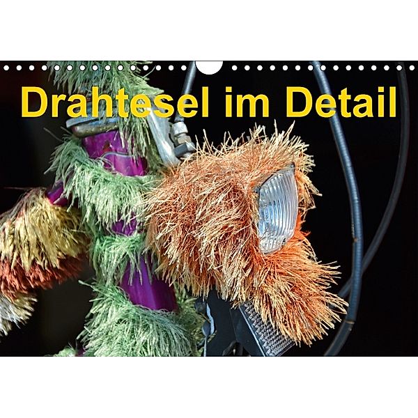 Drahtesel im Detail (Wandkalender 2018 DIN A4 quer), Ingo Laue