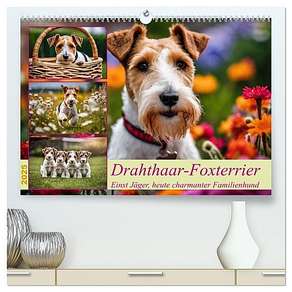 Drahthaar-Foxterrier (hochwertiger Premium Wandkalender 2025 DIN A2 quer), Kunstdruck in Hochglanz, Calvendo, Claudia Kleemann
