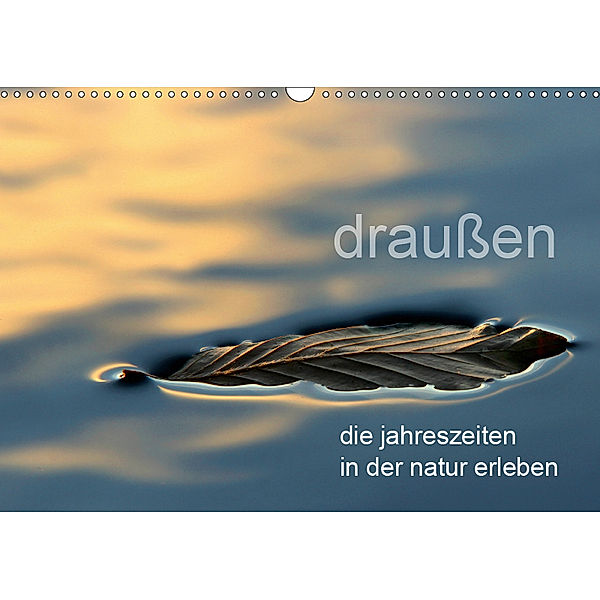 draußen - die jahreszeiten in der natur erleben (Wandkalender 2019 DIN A3 quer), Peter Schürholz