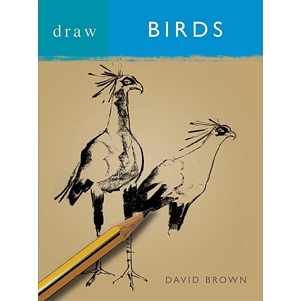 Draw Birds, David Brown