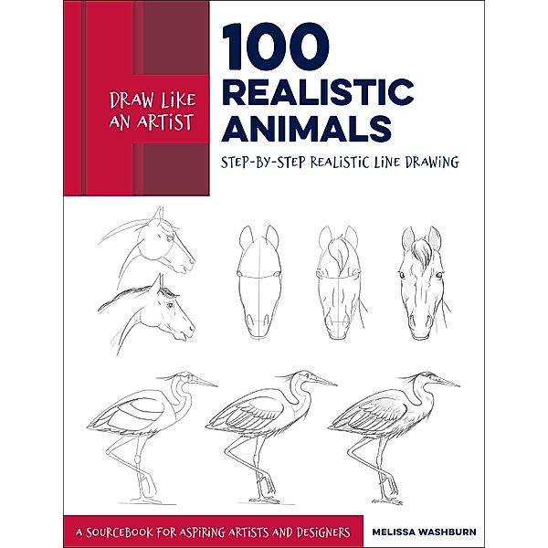 Draw Like an Artist: 100 Realistic Animals / Draw Like an Artist, Melissa Washburn