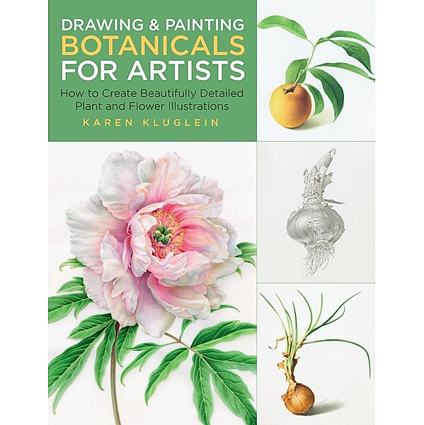 Drawing and Painting Botanicals for Artists / For Artists, Karen Kluglein