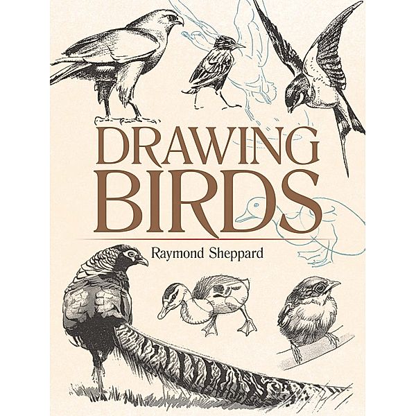 Drawing Birds / Dover Art Instruction, Raymond Sheppard