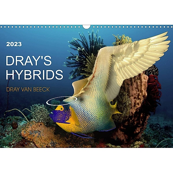 Dray's Hybrids (Wall Calendar 2023 DIN A3 Landscape), Dray van Beeck