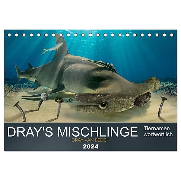 Dray's Mischlinge (Tischkalender 2024 DIN A5 quer), CALVENDO Monatskalender, Dray van Beeck