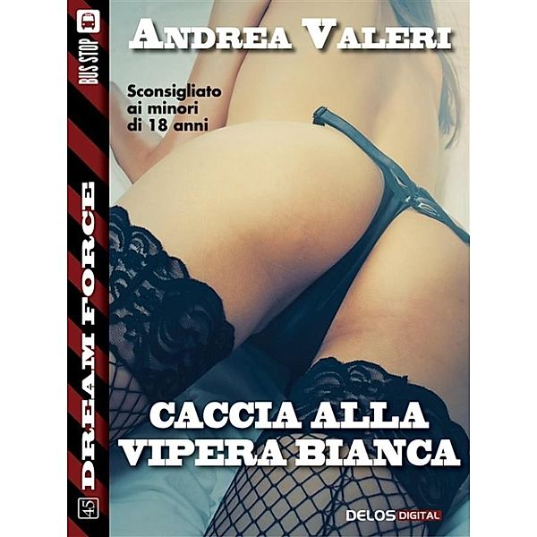 Dream Force: Caccia alla vipera bianca, Andrea Valeri