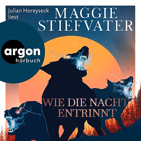 Dreamer-Trilogie - 3 - Wie die Nacht entrinnt, Maggie Stiefvater