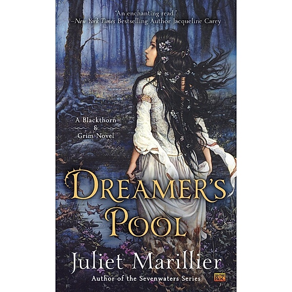 Dreamer's Pool / Blackthorn & Grim Bd.1, Juliet Marillier