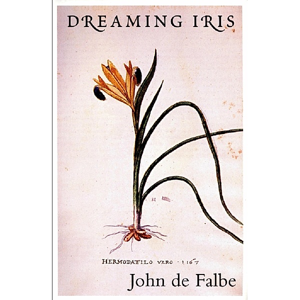 Dreaming Iris, John De Falbe