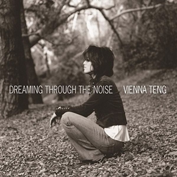 Dreaming Through The Noise, Vienna Teng