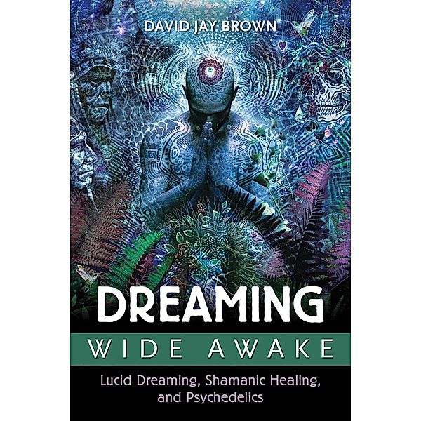 Dreaming Wide Awake, David Jay Brown