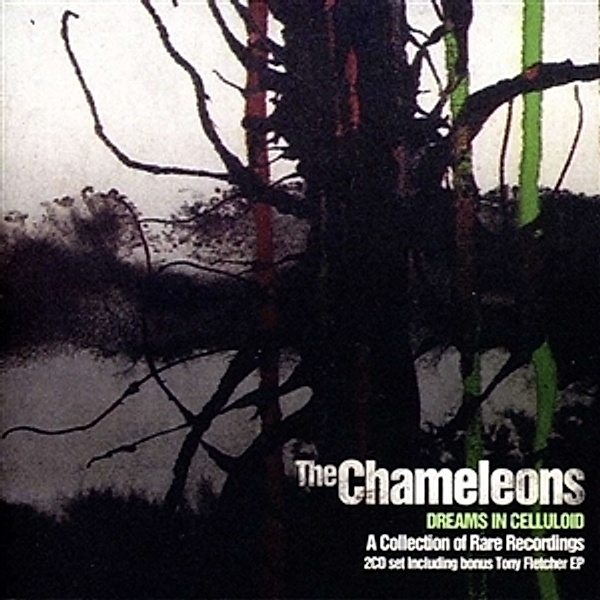 DREAMS IN CELLULOID, The Chameleons