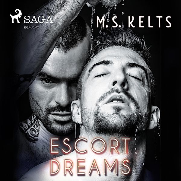 Dreams-Reihe - 1 - Escort Dreams (Dreams-Reihe): Gay Romance, M.S. Kelts