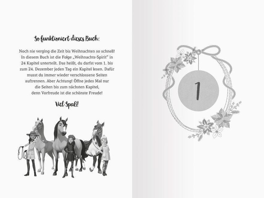 Dreamworks Spirit Wild und Frei: Adventskalender Buch versandkostenfrei bei  Weltbild.at bestellen