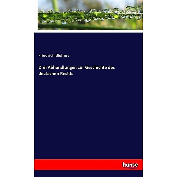 Drei Abhandlungen zur Geschichte des deutschen Rechts, Friedrich Bluhme