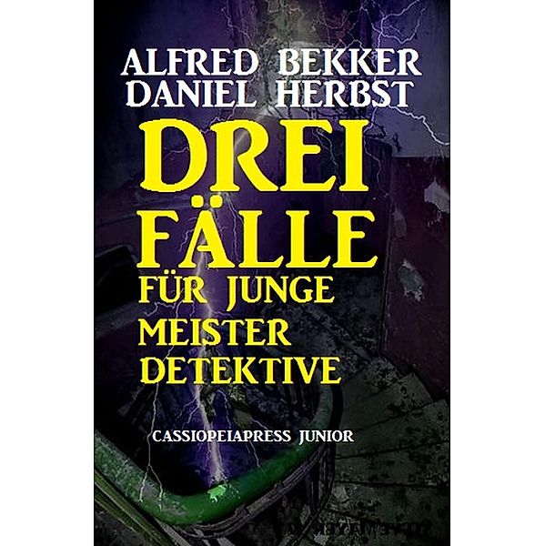 Drei Fälle für junge Meisterdetektive, Alfred Bekker, Daniel Herbst