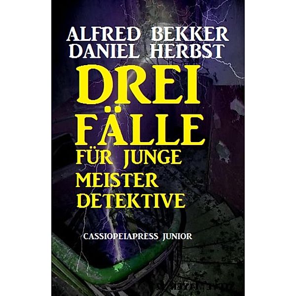 Drei Fälle für junge Meisterdetektive, Alfred Bekker, Daniel Herbst