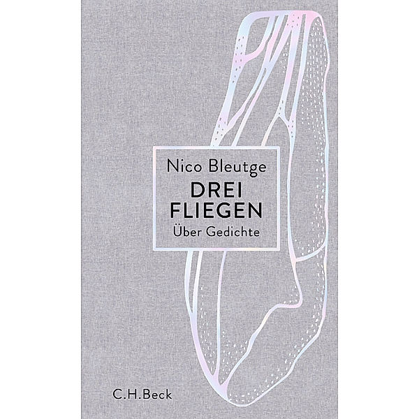 Drei Fliegen, Nico Bleutge