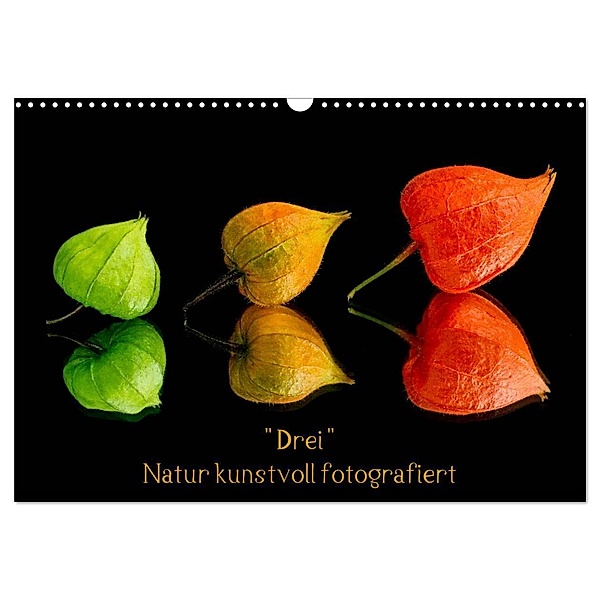 Drei Natur kunstvoll fotografiert (Wandkalender 2024 DIN A3 quer), CALVENDO Monatskalender, Beate Goerz