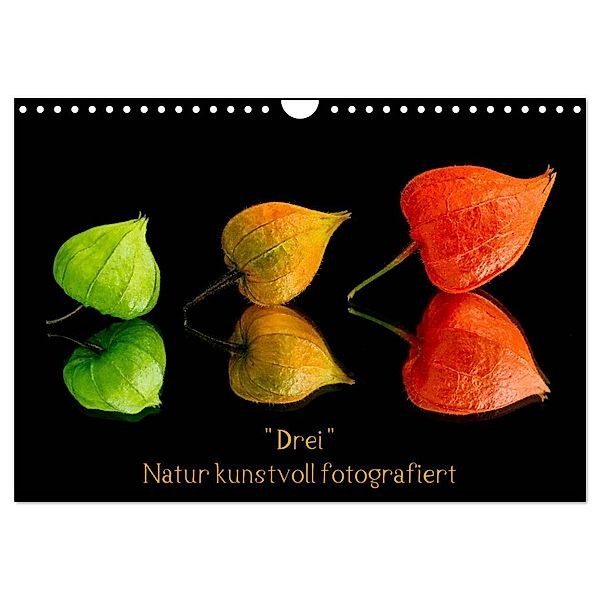 Drei Natur kunstvoll fotografiert (Wandkalender 2025 DIN A4 quer), CALVENDO Monatskalender, Calvendo, Beate Goerz