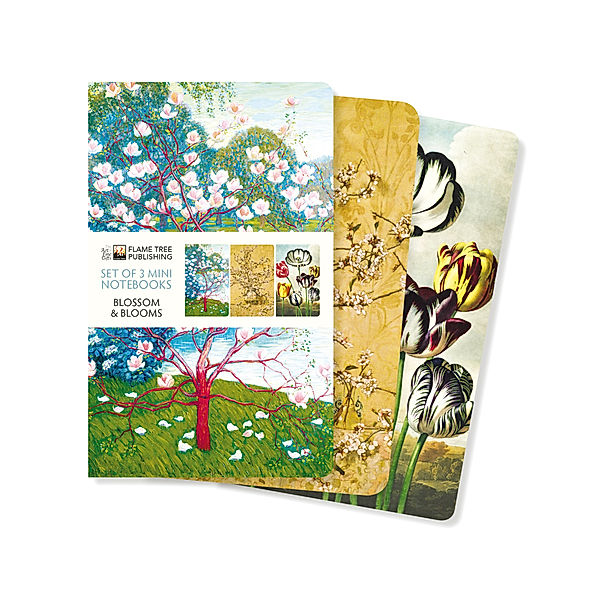 Dreier Set Mini-Notizbücher: Blüten und Blumen, Flame Tree Publishing