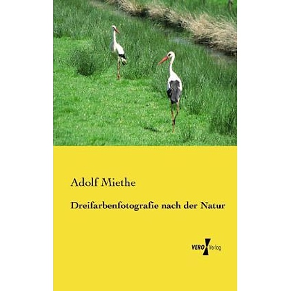 Dreifarbenfotografie nach der Natur, Adolf Miethe
