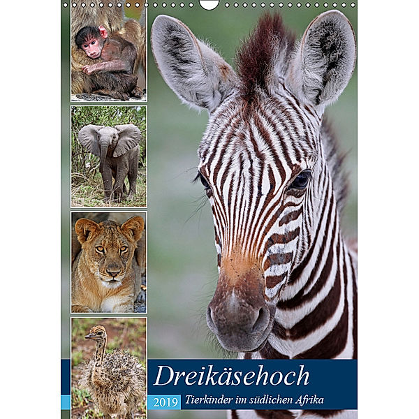 Dreikäsehoch - Tierkinder im südlichen Afrika (Wandkalender 2019 DIN A3 hoch), Wibke Woyke