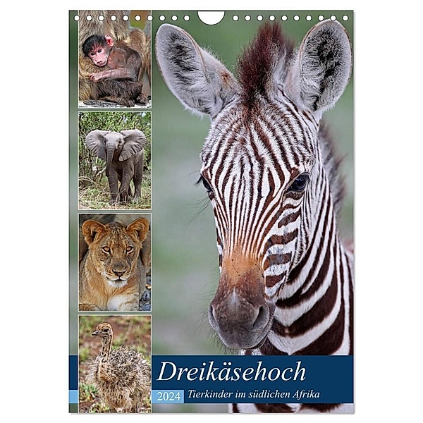 Dreikäsehoch - Tierkinder im südlichen Afrika (Wandkalender 2024 DIN A4 hoch), CALVENDO Monatskalender, Wibke Woyke