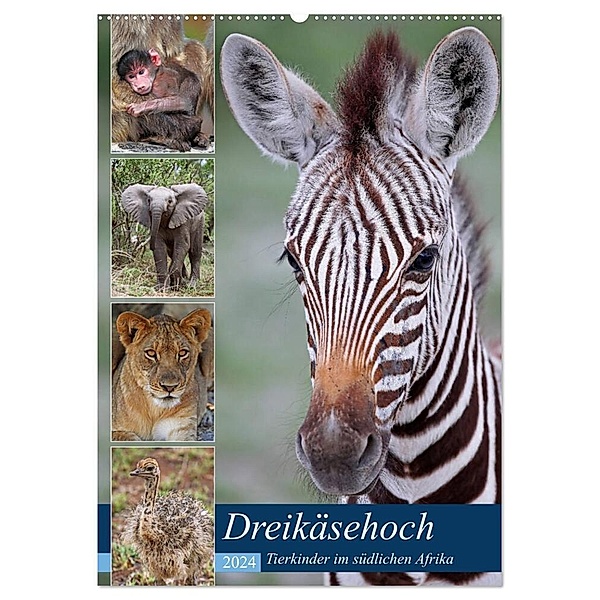 Dreikäsehoch - Tierkinder im südlichen Afrika (Wandkalender 2024 DIN A2 hoch), CALVENDO Monatskalender, Wibke Woyke