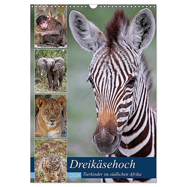 Dreikäsehoch - Tierkinder im südlichen Afrika (Wandkalender 2024 DIN A3 hoch), CALVENDO Monatskalender, Wibke Woyke